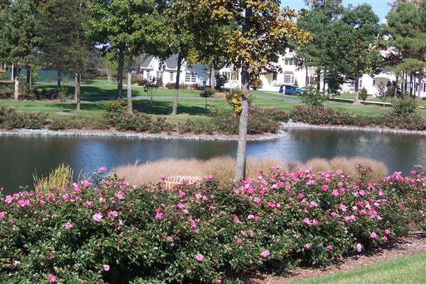 Baywood Pond