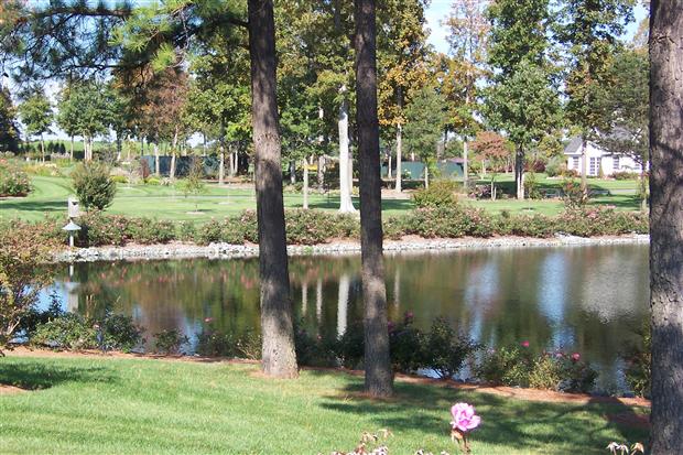 Pond Creativity at Baywood