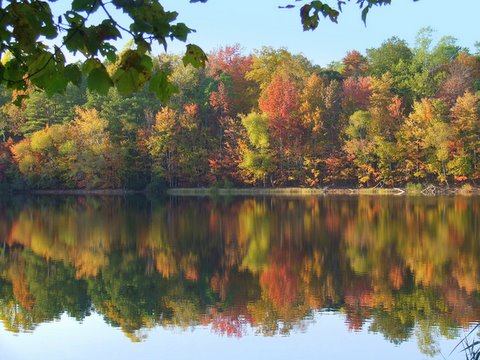 Autumn Reflections