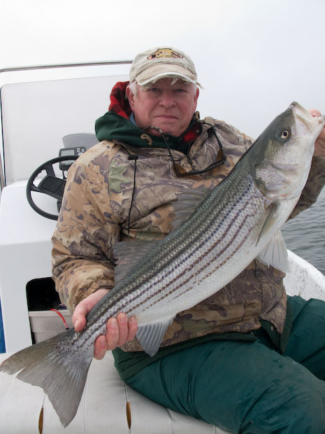 Blatchley's Striper