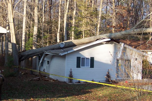 Tree Falls On Home