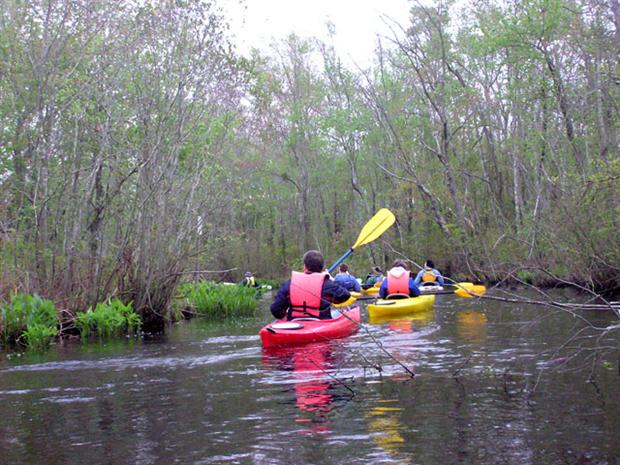 Kayakers On Prime Hook Creek