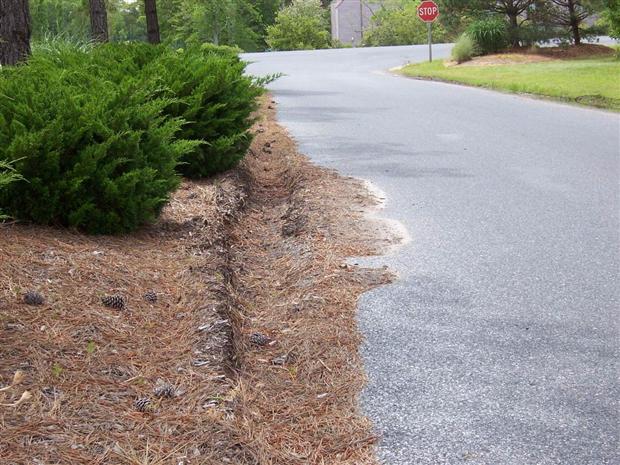 Tire rut off the road