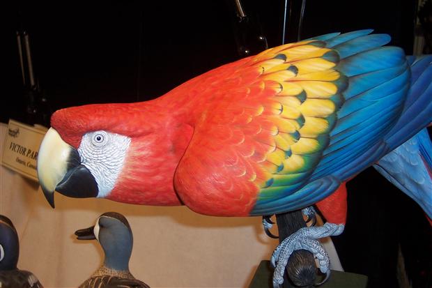 Carved Wooden Parrot