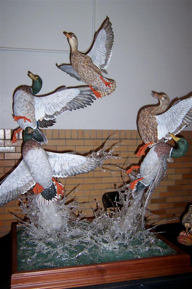 Ducks In Flight