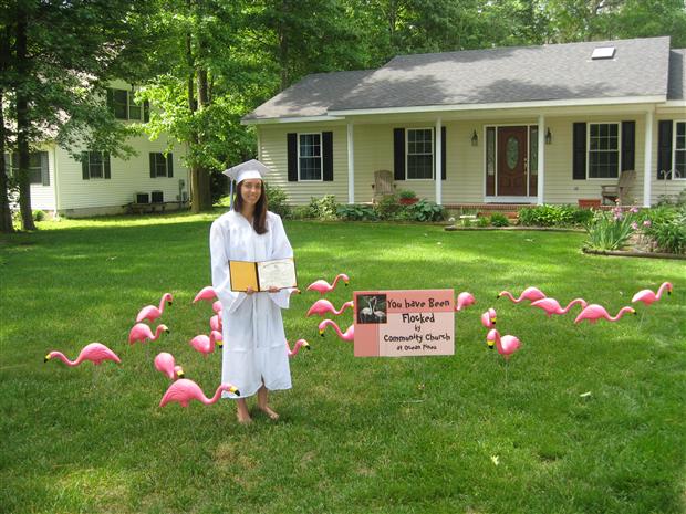 Jordan Hoffman Flocked