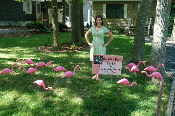 Flamingo Flocking