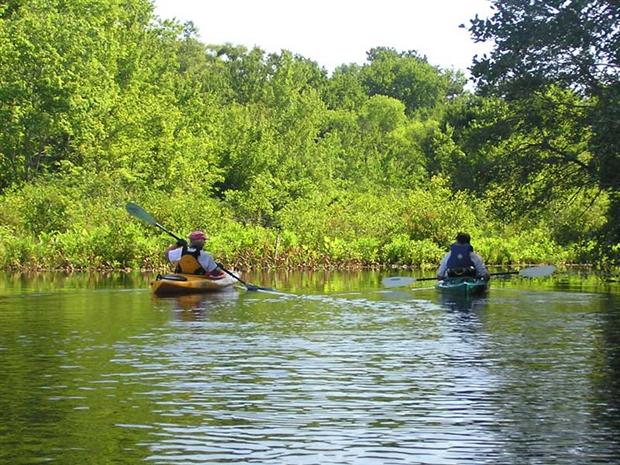 Kayaking on Cow Bridge Branch