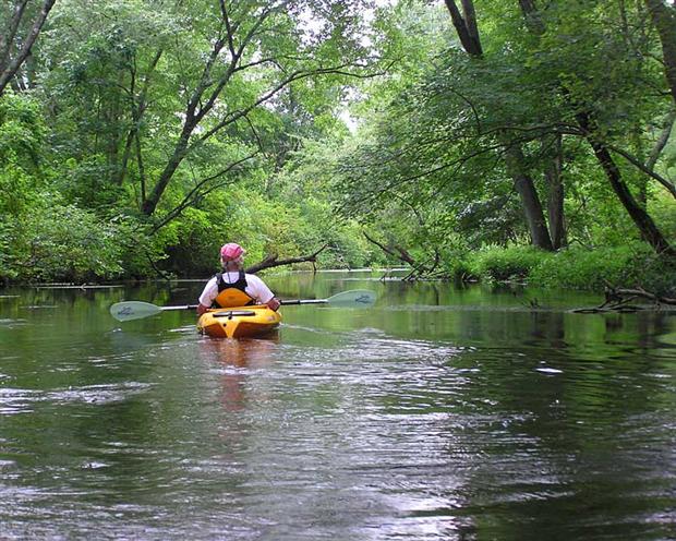 Peaceful Paddle