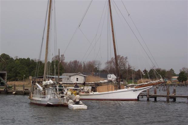 Skipjack Oystering