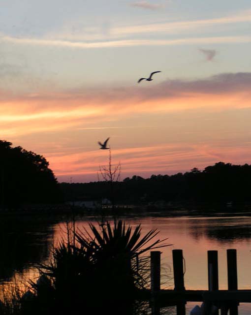 Manklin Creek Sunset