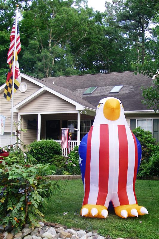 Patriotic Eagle