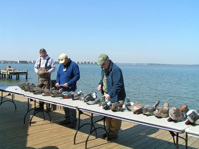 Decoy Ducks in a Row