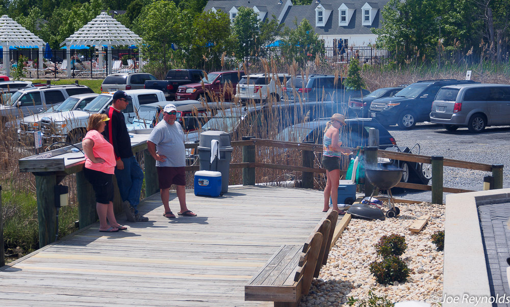 Cookout at YC