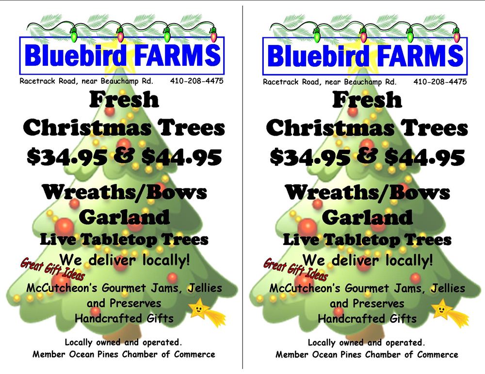 Bluebird Farms