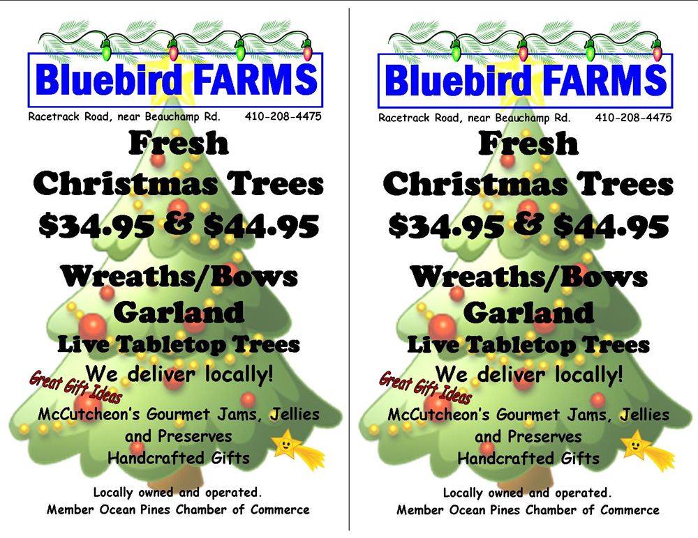 Bluebird Farms