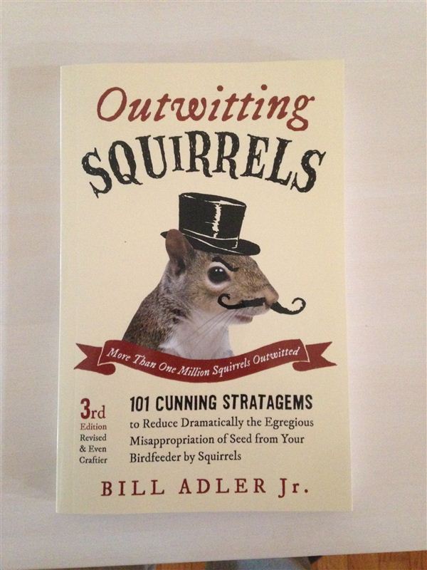 Outwitting squirrels