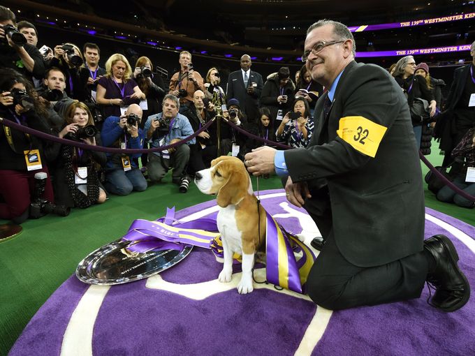 Westminster Winner Miss P