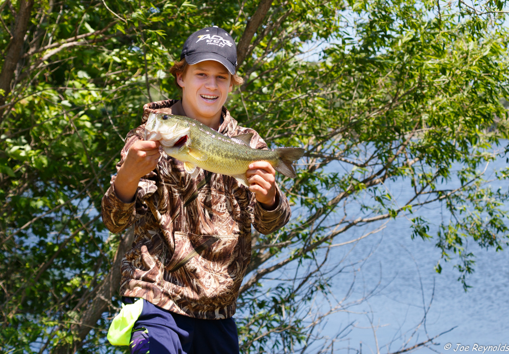 Largemouth Bass