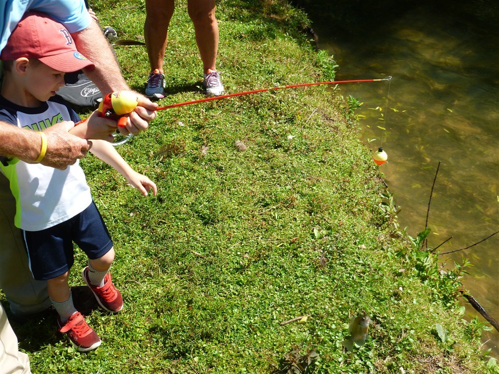 Teach A kid To Fish