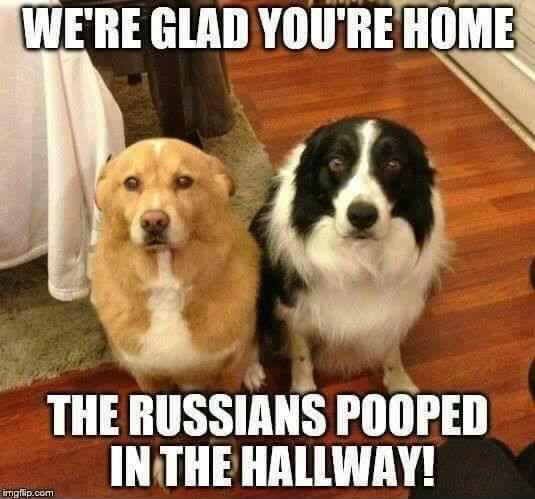 The Russians