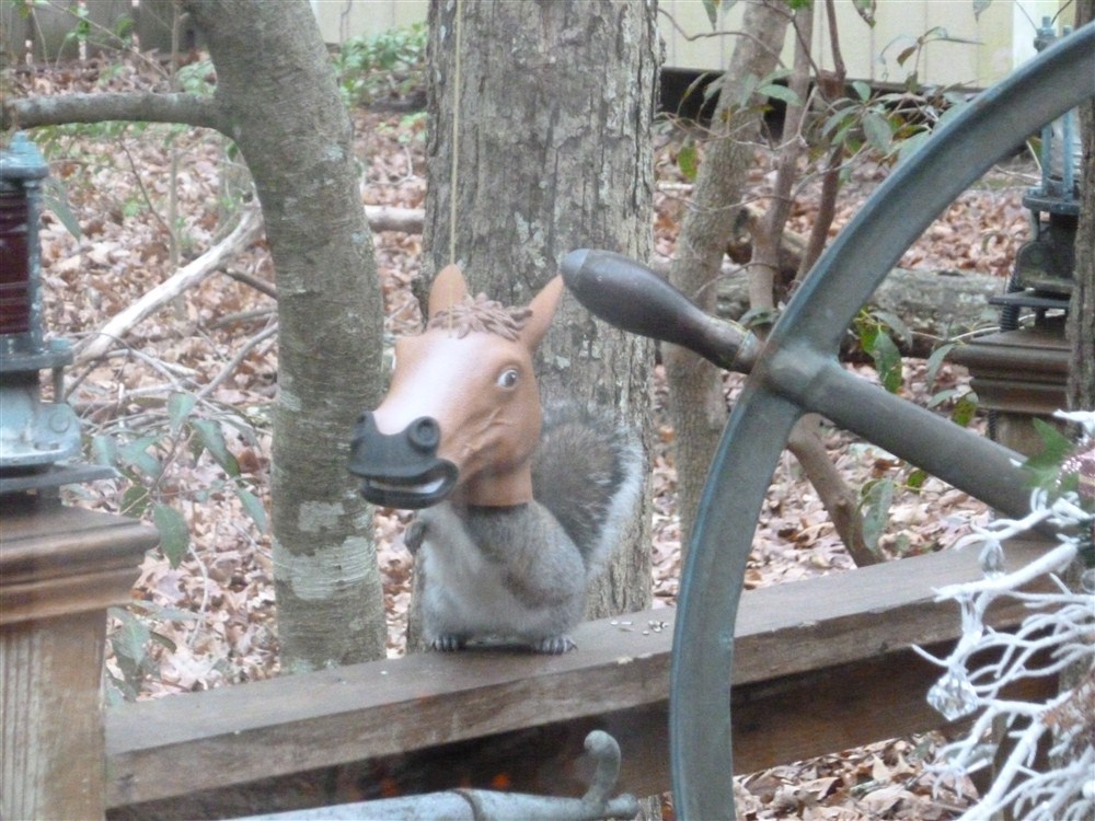 Squirrel Horse