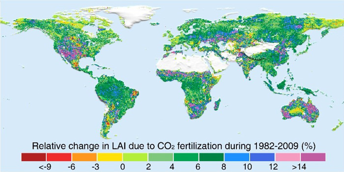 Global Greening -Leaf Area Index