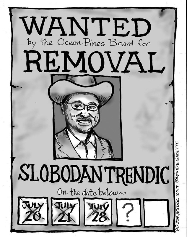 Trendic Removal