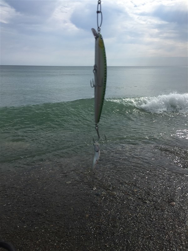 A real fish Story