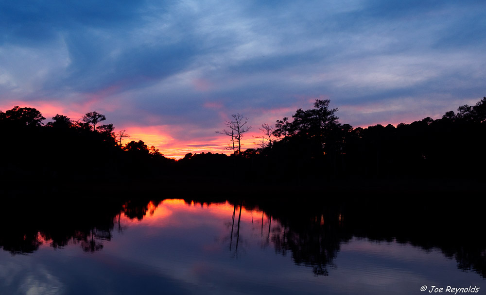 Manklin Sunset