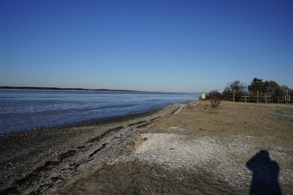 Ice on Assateaque Bay