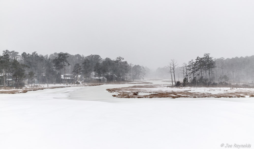 Manklin Snow