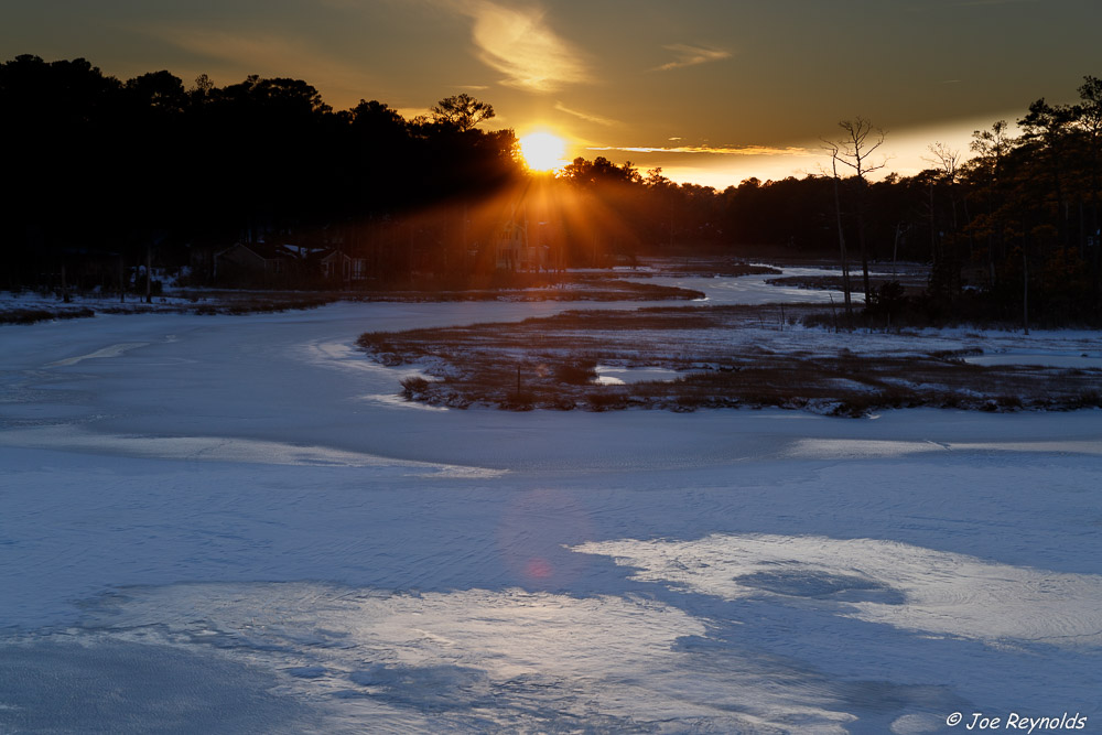 Frozen Manklin