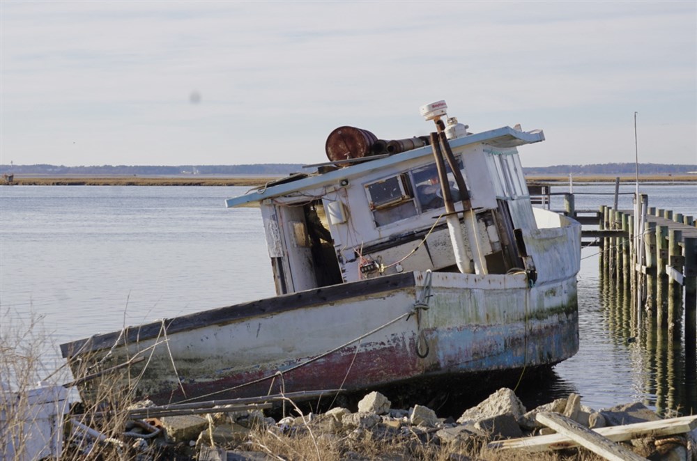 Derelict Boat