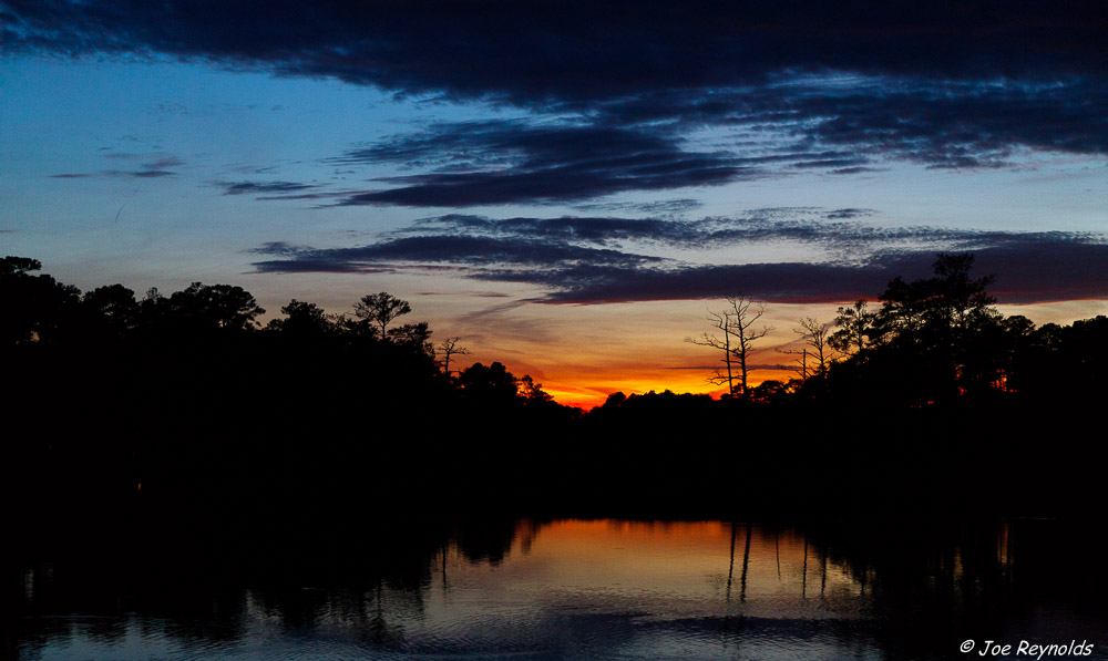 Manklin Sunset