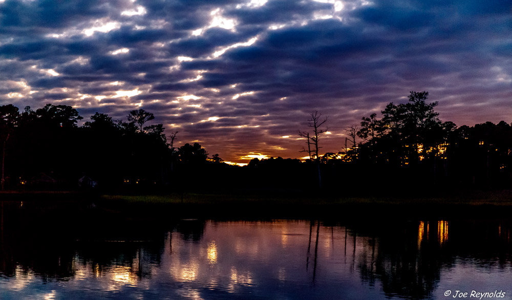 Manklin Dusk