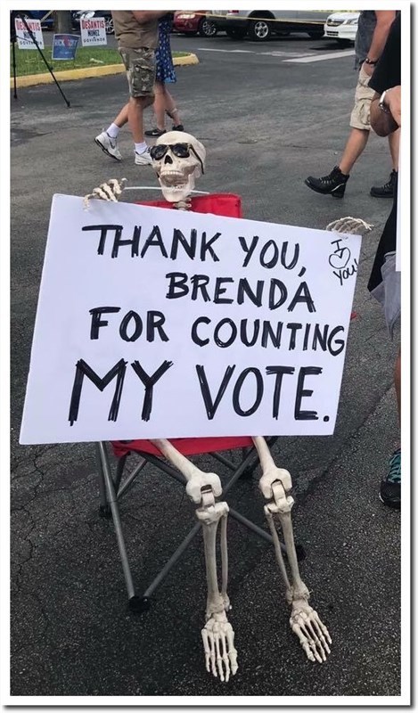 Spoof on Fla vote count