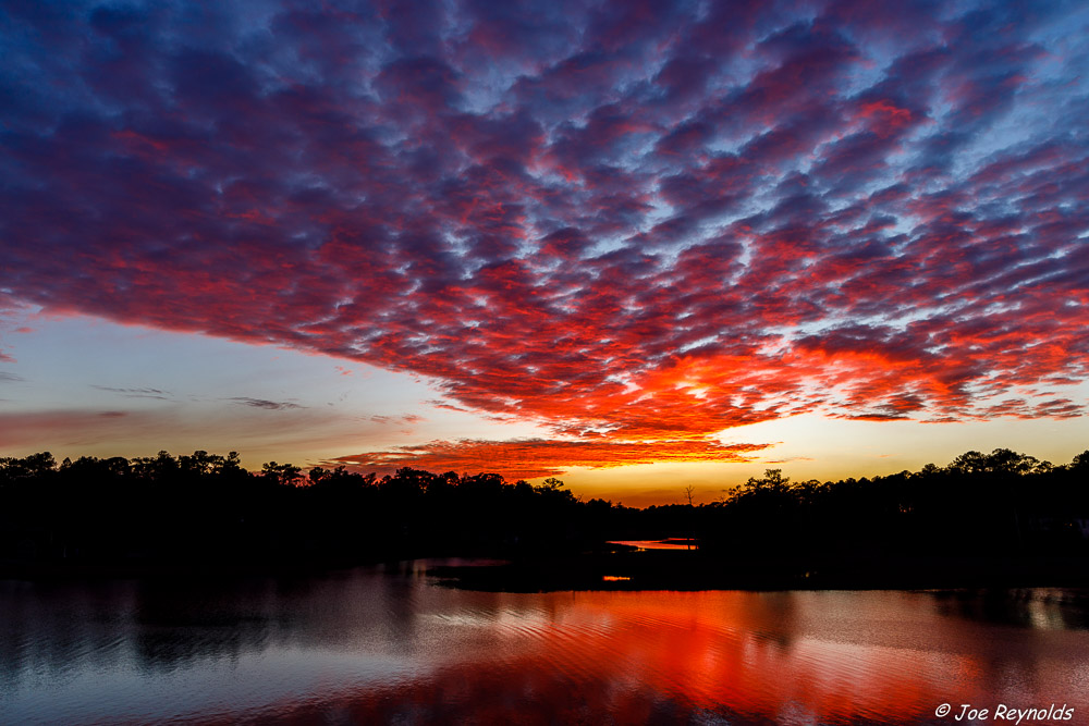 Manklin Sunset