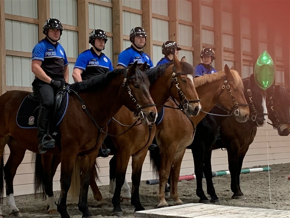 OC Mounted Officers