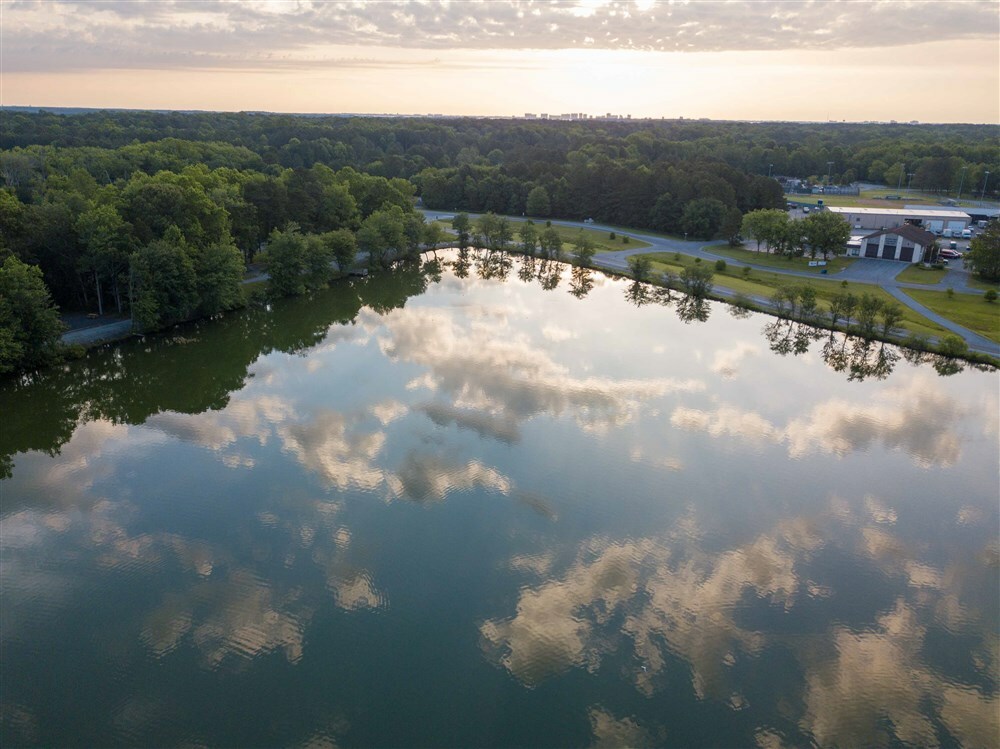 Pond Reflection