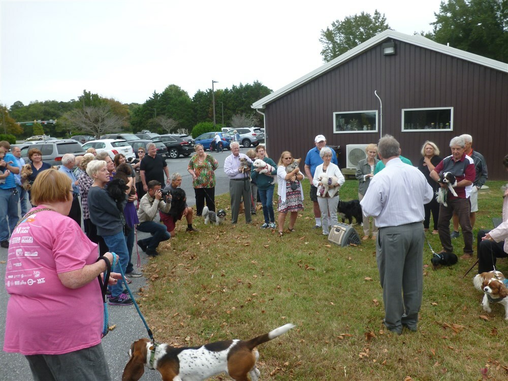 Blessing of the Animals