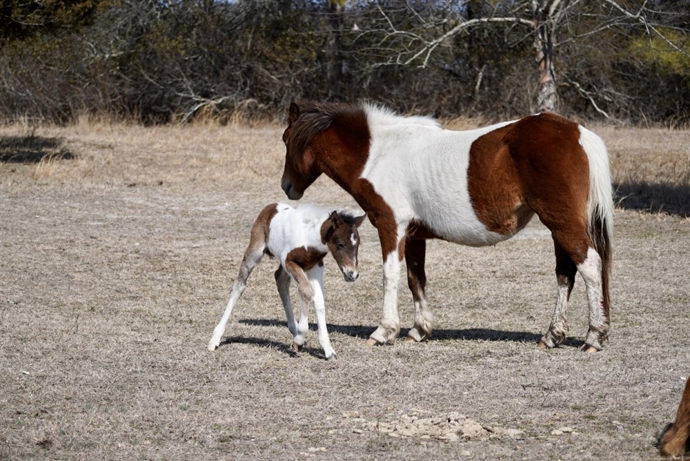 Mother and Child