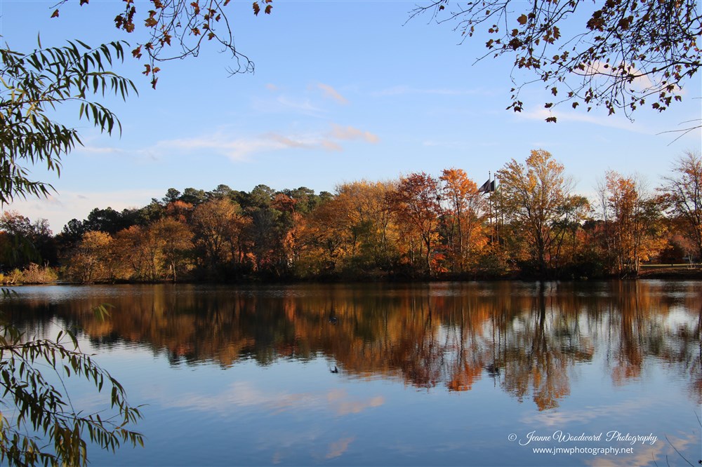 South Gate Pond