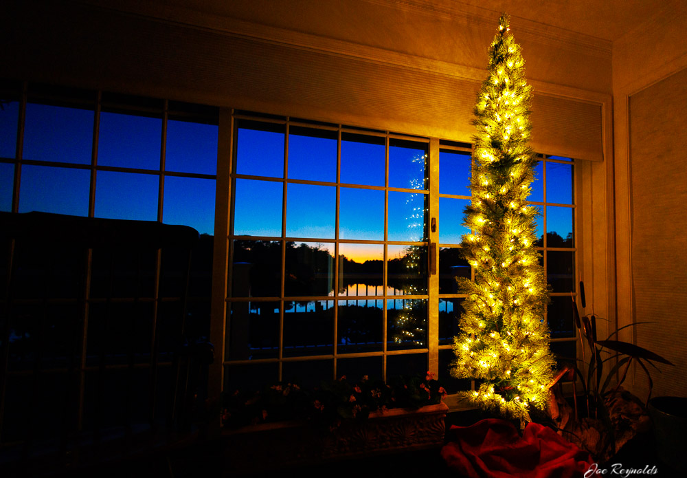 Skinny Christmas Tree