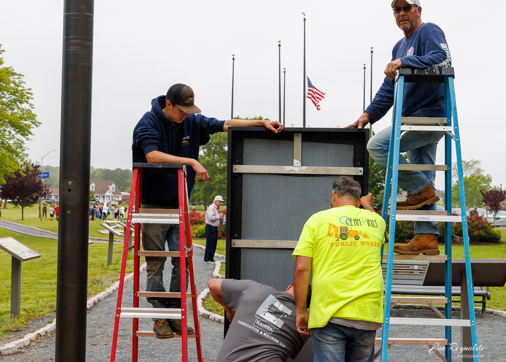 Wall That Heals Panel