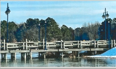 North Gate Bridge Lights