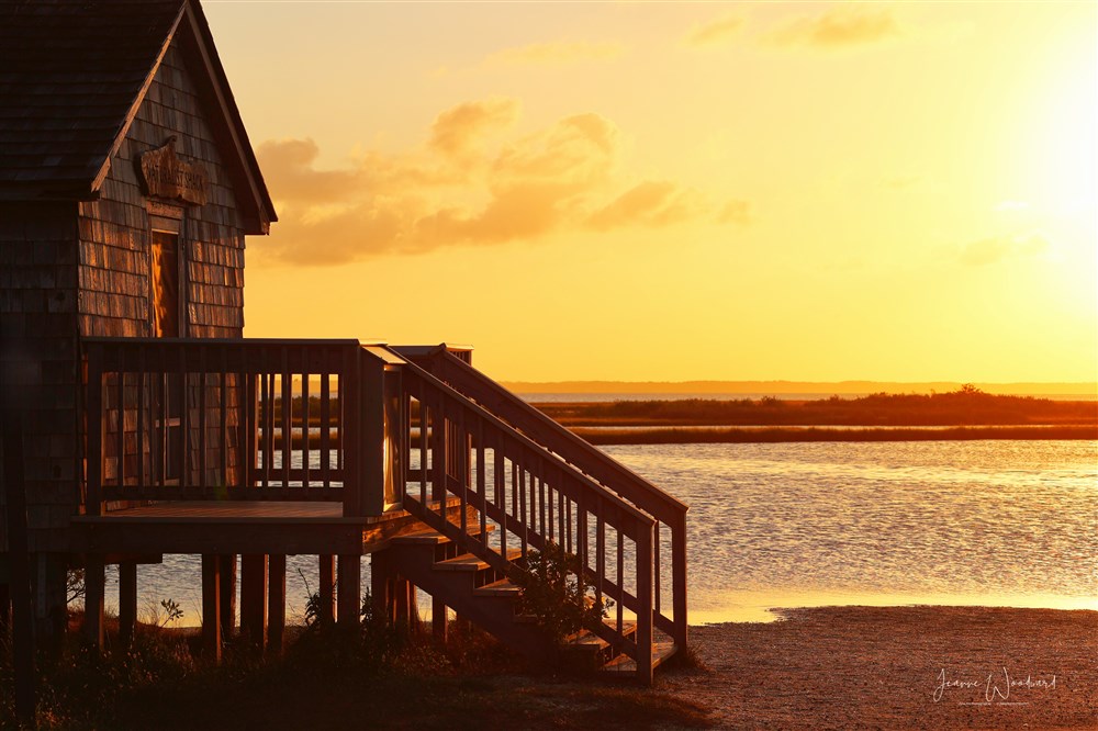 Naturalist Shack