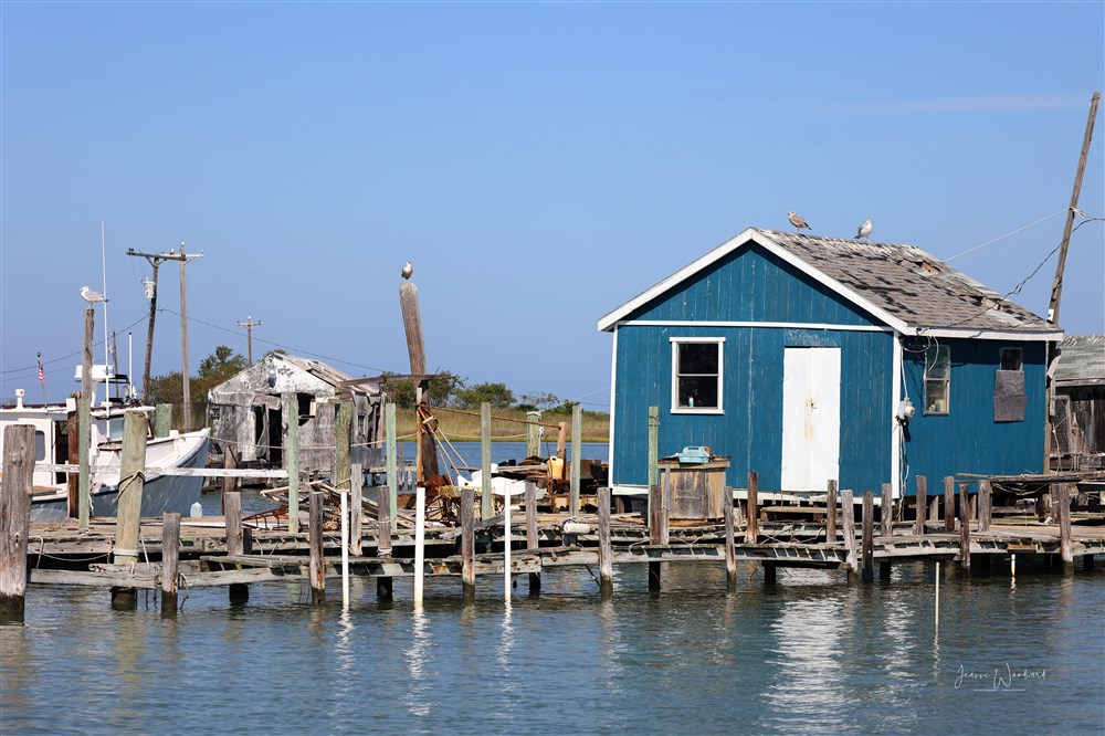 Tangier Island Crab Shack