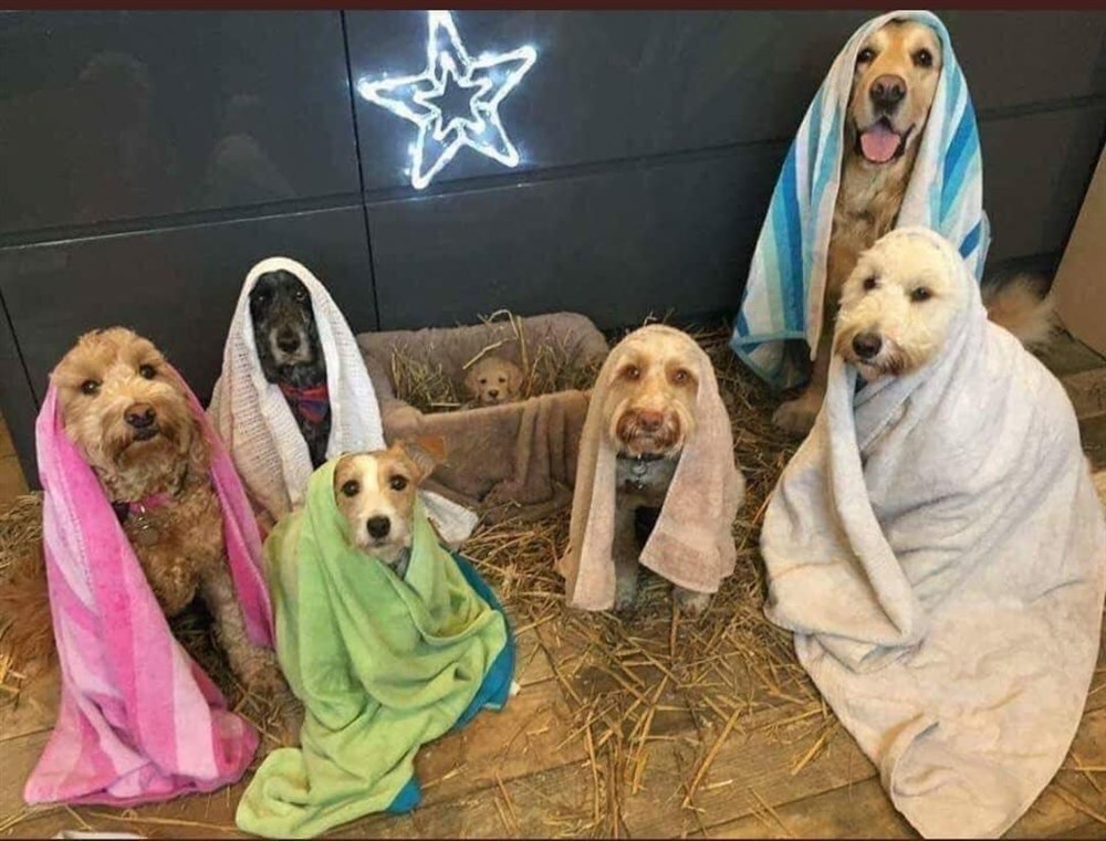 A Merry Christmas group