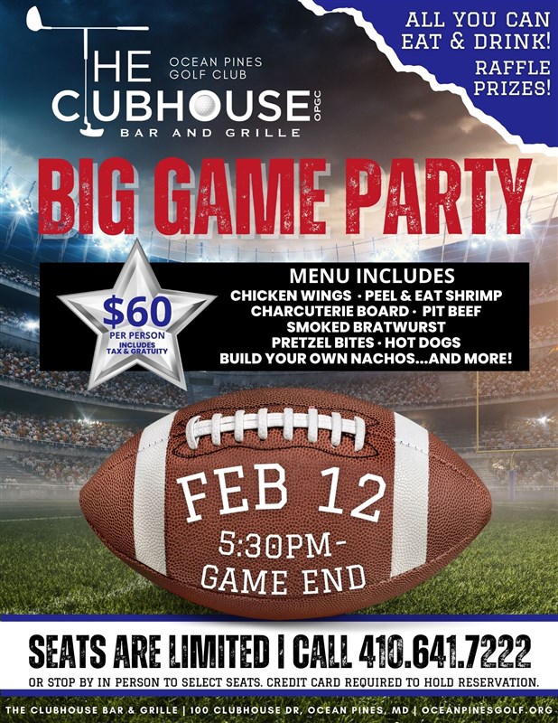 Big Game Party